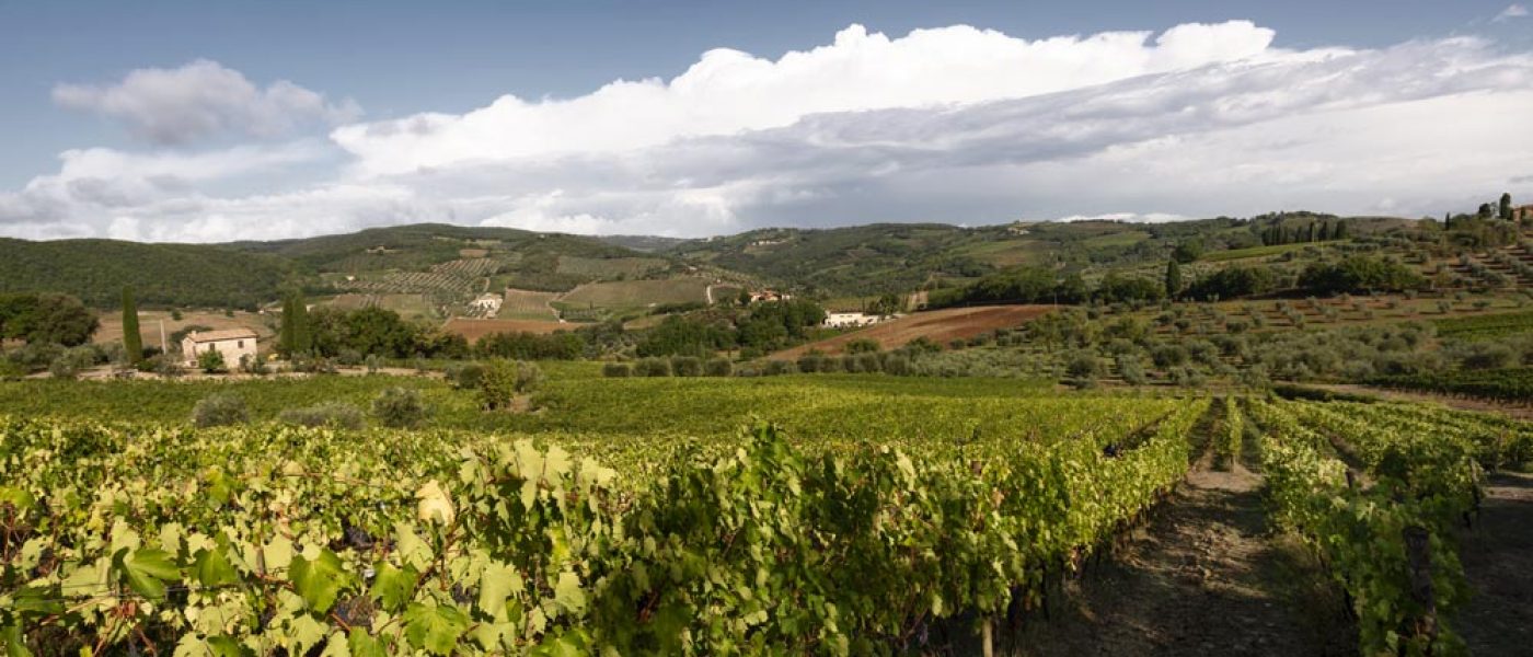 quality-closed-grossa-montalcino-brunello