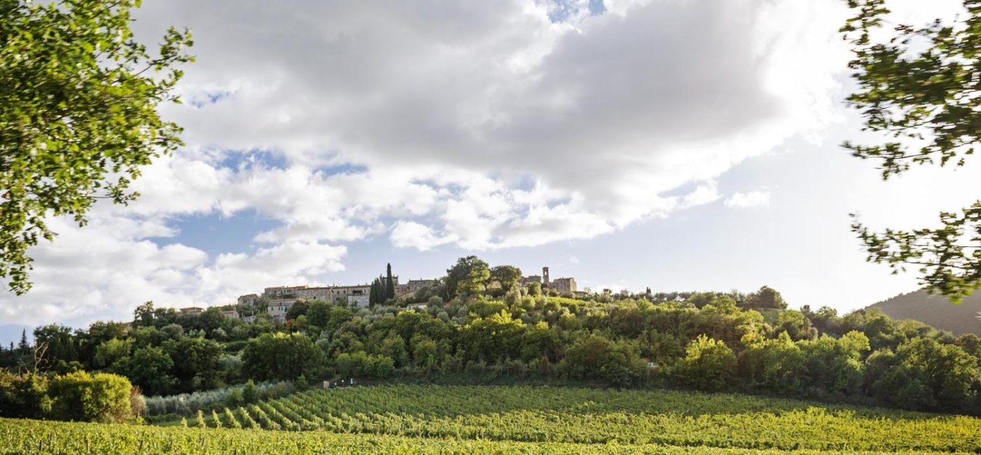 Azienda Agricola Chiusa Grossa